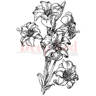 Deep Red Rubber Stamp Lillies Pen and Ink Drawing Sketch