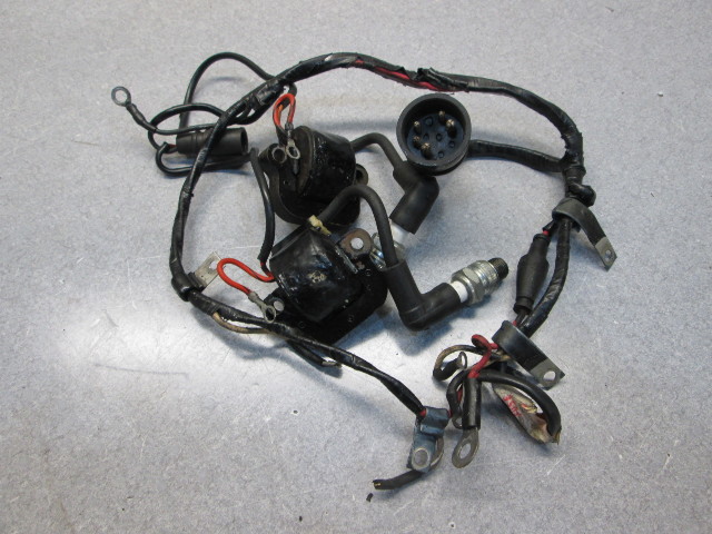 387872 Engine Wire Harness for Evinrude Johnson 25 35 Hp 1977-78 Outboards