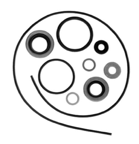 Evinrude Johnson Lower Unit Seal Kit