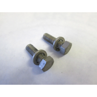0313699 313699 Johnson Evinrude Lower Mount Screws (2)