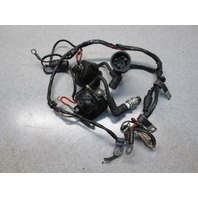 387872 Engine Wire Harness for Evinrude Johnson 25 35 Hp 1977-78 Outboards