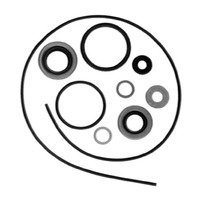 Evinrude Johnson Lower Unit Seal Kit
