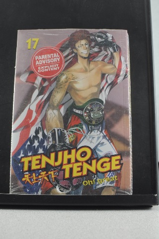 Tenjo Tenge Oh! Great Manga Vol. 17 -CMX Manga