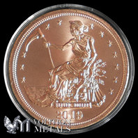 5 Coins- Zombucks: Slayed Dollar 1oz .999 Copper Bullion Rounds