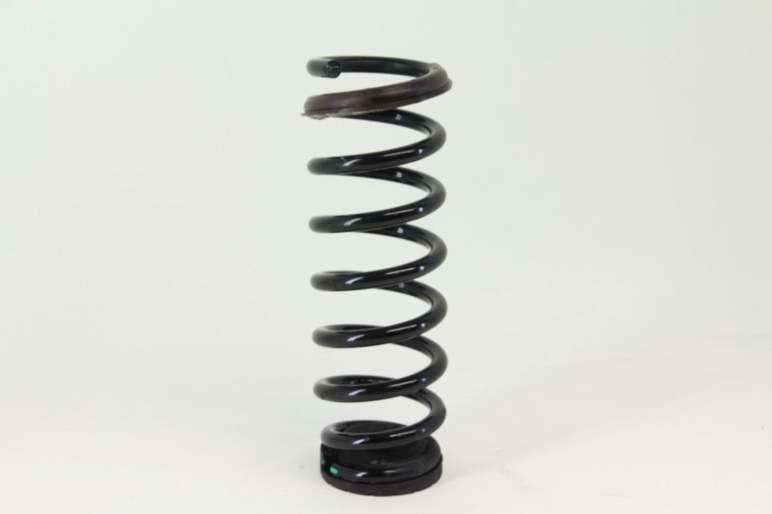 Kia Optima 1113 Hybrid Rear Strut Shock Right/Left Coil Spring 55311