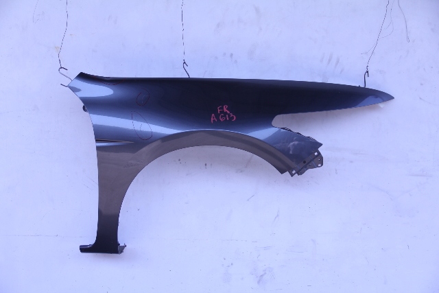 Honda Accord 08-12 Coupe Fender Panel, Front Right, Charcoal / 60210-TE0-A91ZZ, A613, OEM, 2008, 2009, 2010, 2011, 2012