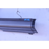 Acura TL 07-08 Rocker Panel Molding Assembly Right/Passenger Carbon Bronze Pearl, A610, OEM, 2007, 2008