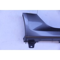 Acura TL 07-08 Rocker Panel Molding Assembly Right/Passenger Carbon Bronze Pearl, A610, OEM, 2007, 2008