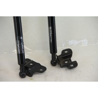 Honda Accord 08-12 Hood Opener Stay Shock Strut Dampers, Set Left/Right, A577, OEM, 2008, 2009, 2010, 2011, 2012