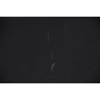 Acura TL 09-14 Glove Box Storage Compartment Pocket Black 77500-TK4-A10, A524, OEM, 2009, 2010, 2011, 2012, 2013, 2014