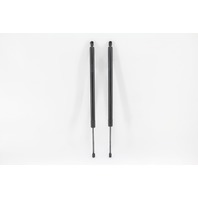 Honda Odyssey 05-07 Liftgate Stay Support Trunk Damper Strut Right/Left Set, A634, OEM, 2005, 2006, 2007