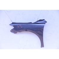 Toyota Camry 07-11 Left/Driver Side Fender Panel, Grey Gray, 53802-06120, A614, OEM, 2007, 2008, 2009, 2010, 2011