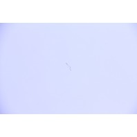 Honda Accord 08-12 EX Sedan Rear Door Assy Left Side White 67550-TA0-A90ZZ, OEM, 2008, 2009, 2010, 2011, 2012