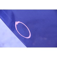 Acura TL 04-08 Rear Door Assembly Right/Passenger's Side Blue 67510-SEP-A90, A579, OEM, 2004, 2005, 2006, 2007, 2008