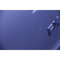 Infiniti FX35 FX45 06-07 Trunk Deck Lid Liftgate Gate Assembly Gold, A590, OEM, 2006, 2007