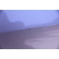 Honda Accord 03-07 Sedan Front Door Right Side Electric Gold 67010-SDA-A90, A595, OEM, 2003, 2004, 2005, 2006, 2007