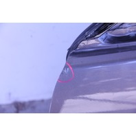 Acura TL 04-08 Front Door Assembly Left/Driver Bronze/Brown 67050-SEP-A91ZZ, A610, OEM, 2004, 2005, 2006, 2007, 2008