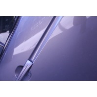 Acura TL 04-08 Rear Door Assembly Right/Passenger Bronze/Brown 67510-SEP-A90, A601, OEM, 2004, 2005, 2006, 2007, 2008