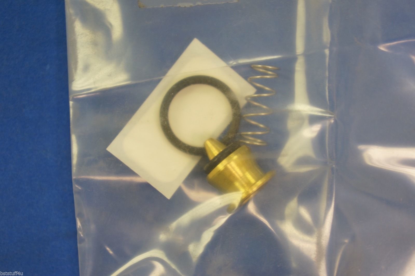 Aqua Environment 955 Check Valve