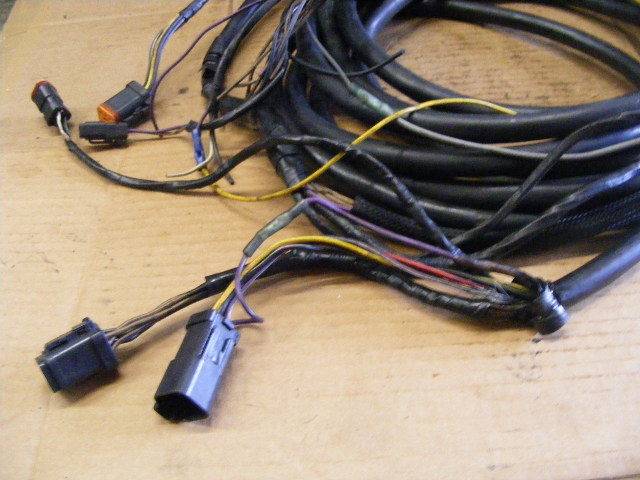 Johnson Evinrude E-tec Engine Ignition Wiring Harness Cable 30