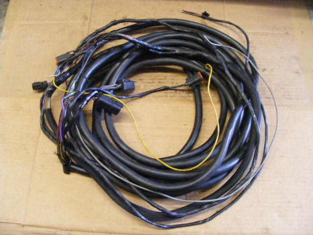 Johnson Evinrude E-tec Engine Ignition Wiring Harness Cable 30