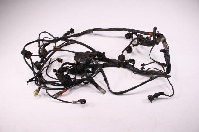 08 Ducati Monster 695 Principal Cableado Alambre Arn U00e9s